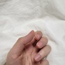 J.s네일연구소