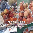 코루츠