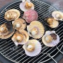 수룡봉황길 | 캠핑의 계절이 돌아온다💫💫봉황자연휴양림 상세 후기