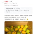 금이네 | 금이네감귤농장 꿀맛 귤 후기