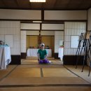 태백산맥거리 이미지