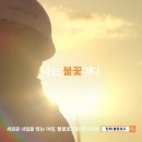 태양엔진 이미지