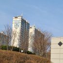 성지어린이집 | 인천 집값 송도 5억대 송도성지리벨루스 알아보기