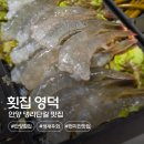 영덕횟집 - 경주시 황성로1번길 9 | 안양 댕리단길 맛집 횟집 영덕, 탱글함이 남다른 생새우회 후기