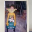 용동물병원 | 나 가정의 달 조아하네