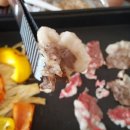 솔바다캠핑장 이미지