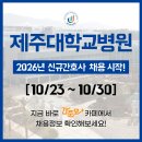 제주대학교병원 | 졸업예정자 간호사 채용, 2026년 신규간호사 채용, 간호사 자소서 항목 / 제주대학교병원 간호사 채용