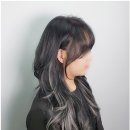 애쉬그레이 카카오 검색결과