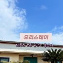 모리스테이 이미지