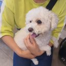 만박동물병원 이미지