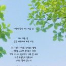 아낙네