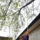 꽃숲유치원 이미지