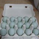 초정농장 이미지