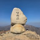 희망축산 | 1일2산영축산 늦은 출발도 문제없는 임도 코스!