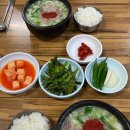 주정차 단속 - 064 이미지