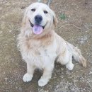 백야마을회관 이미지