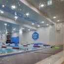 마린슐레 이미지