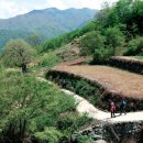 산내면 중황마을 이미지