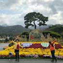 영암기찬랜드 이미지