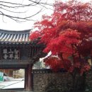 의사김응삼순절비 이미지