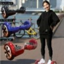 호버엠