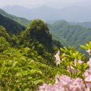 원주시티투어(순환형) 이미지