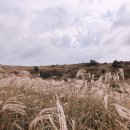 신천리슈퍼 이미지