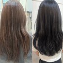 옥길동미용실 뷰노크헤어 톤다운 염색 후기