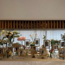 Wedding 2. 대구 인터불고 만촌 파크빌리지 아이폰 스냅, 띵스냅 본식 촬영 후기