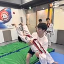 용인대학교 스타태권도장 이미지