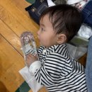 하늘키즈어린이집 | * 2025.10.16~31 - 어린이집 운동회, 환호공원 식물원, 해상 스카이워크