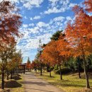 남악수변공원 이미지