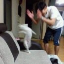 주희네수산 | 2025 시빌월