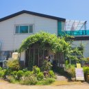 매봉골 | 숨은 화성 로컬맛집 매봉골 직접 먹어본 영양탕 후기