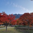 내장산 단풍생태공원 이미지