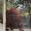 더 테쉬폰 이미지