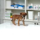 서이천로 이미지