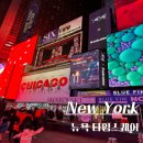 뉴욕 타임스퀘어 볼드랍(ball drop) 위치 꿀팁 사진 후기