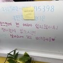 과일의 숲 사하점 | [부산:하단]요거트아이스크림의정석/과일의숲/요아정/내돈내산후기