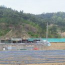 종문농장 이미지