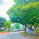 충남인터넷고등학교 이미지