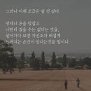 언젠가 평지는 온다♡ 이미지