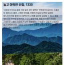 관심1길-4 Daum카페