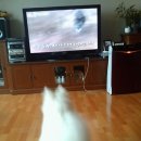 일우농장 이미지