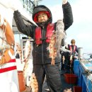 진도1호 이미지