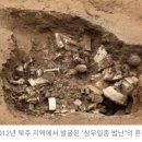 도사3교 네이버블로그