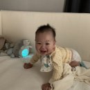 기린약국 | [일상 1021-1031] 재이 290-300 :) 재이응급실행 : 화이자2차접종 : 헬로디노그네 : 사랑비돌촬영...