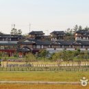 나불도 승마랜드 이미지