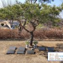 한국불교법륜종갈월사