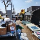 늘푸른약품 이미지